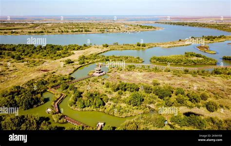 Dongying Yellow River Estuary Wetland Park: Lumoava luonto ja mahtava monimuotoisuus!