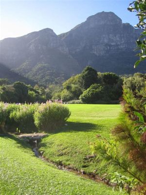  Kirstenbosch National Botanical Garden: Kaunis paikka ja luontoa rakastavien paratiisi!