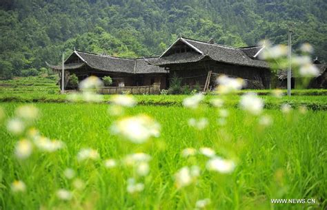  Wangjiaping Village – Muinaisen Kiinan ja modernin maatalouden symbioosi!